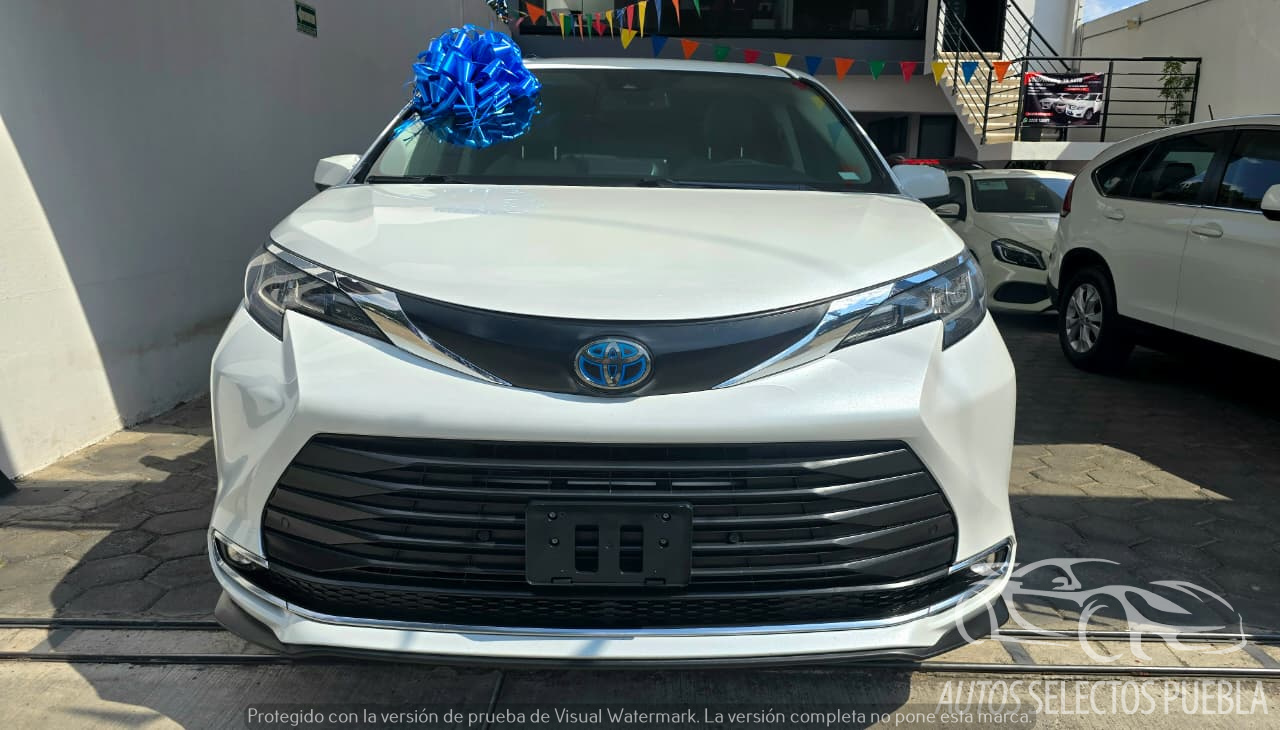 ๐ง๐ผ๐๐ผ๐๐ฎ ๐ฆ๐ถ๐ฒ๐ป๐ป๐ฎ ๐ซ๐๐ - Imagen 8