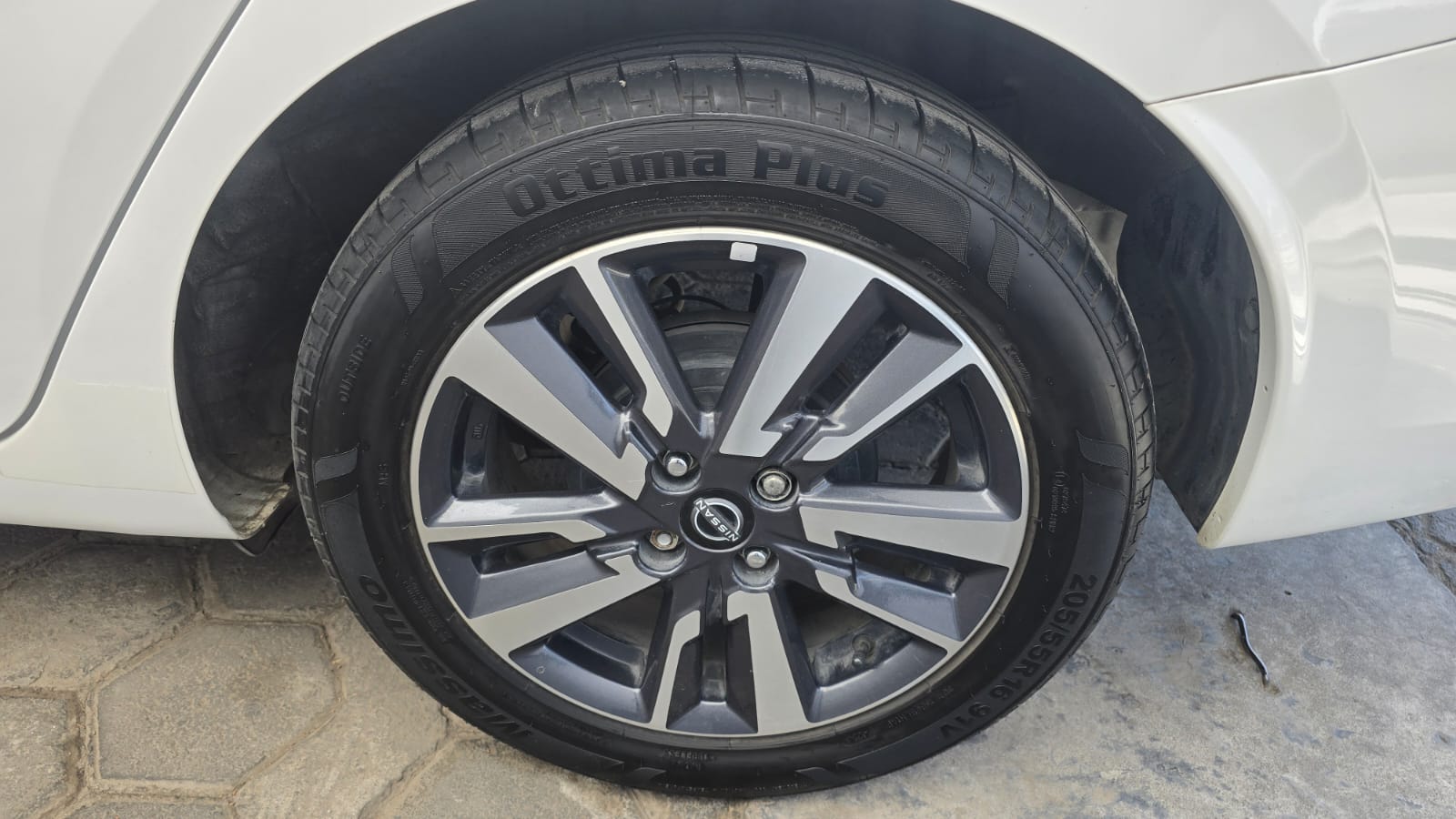 饾棥饾棞饾棪饾棪饾棓饾棥 饾棭饾棙饾棩饾棪饾棓 饾煯饾煬饾煯饾煰 - Imagen 13