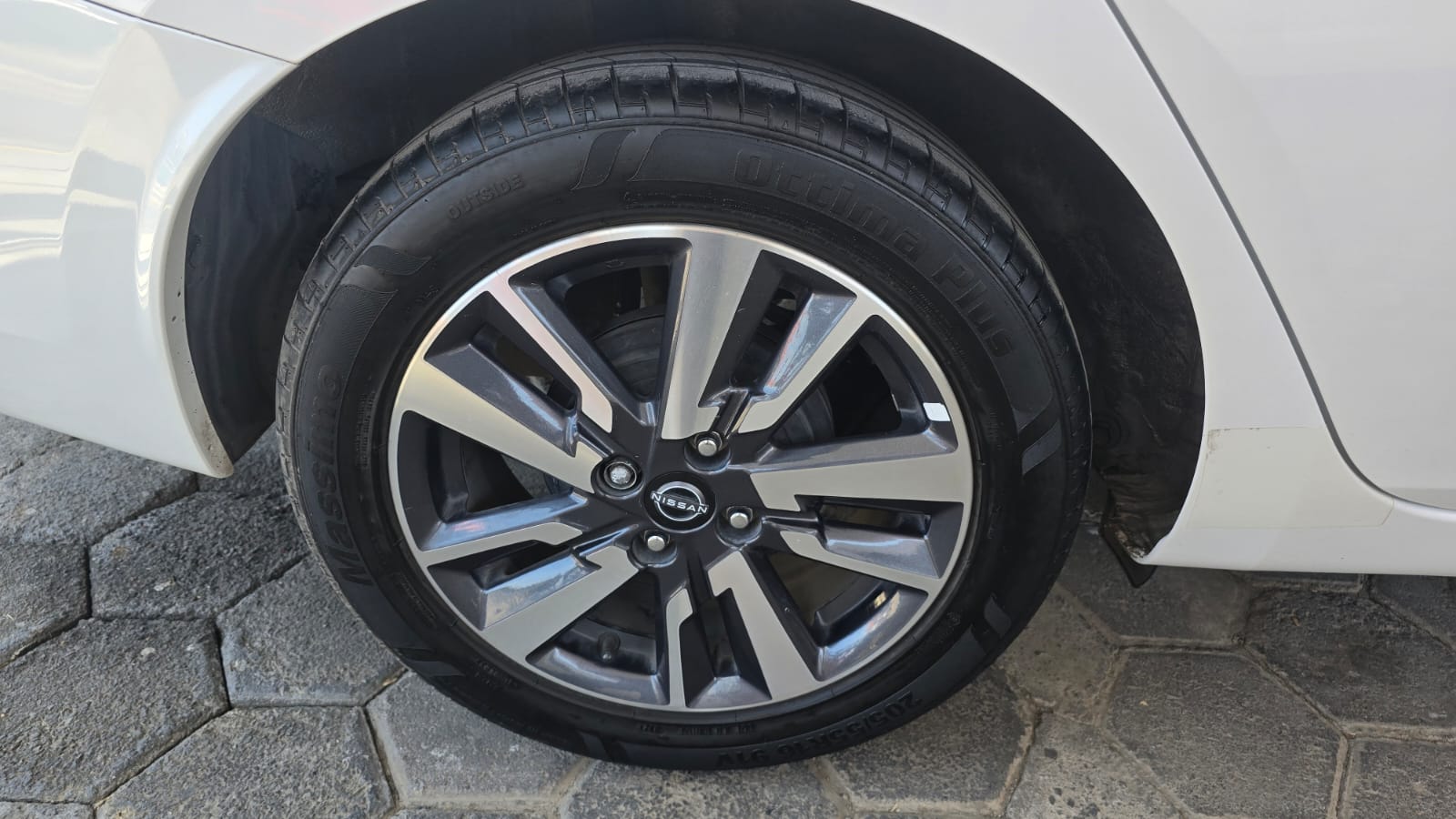 饾棥饾棞饾棪饾棪饾棓饾棥 饾棭饾棙饾棩饾棪饾棓 饾煯饾煬饾煯饾煰 - Imagen 14