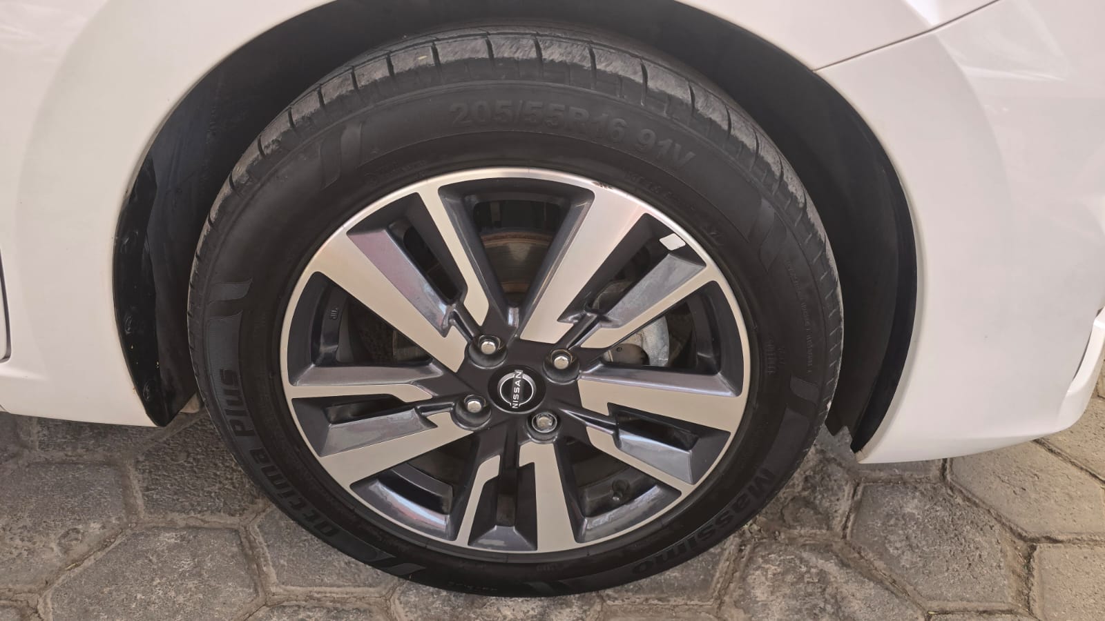 饾棥饾棞饾棪饾棪饾棓饾棥 饾棭饾棙饾棩饾棪饾棓 饾煯饾煬饾煯饾煰 - Imagen 15